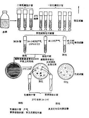 大肠菌群的检测方法