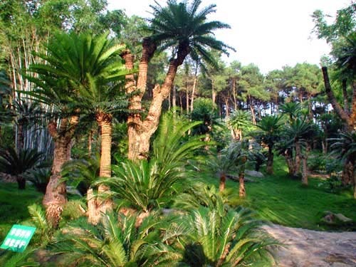 如泰国园就是南宁市与泰国孔敬市政府文化交流