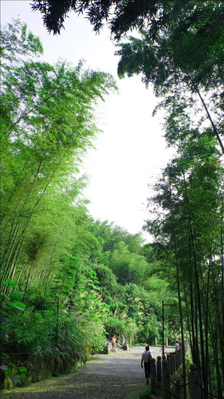 西九华山_河南西九华山_西九华山旅游攻略 | 知