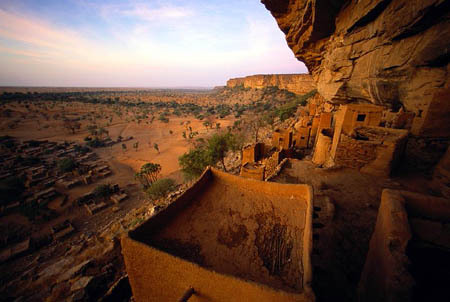 榕树会生长在热带草原气候区吗?比如尼日尔河