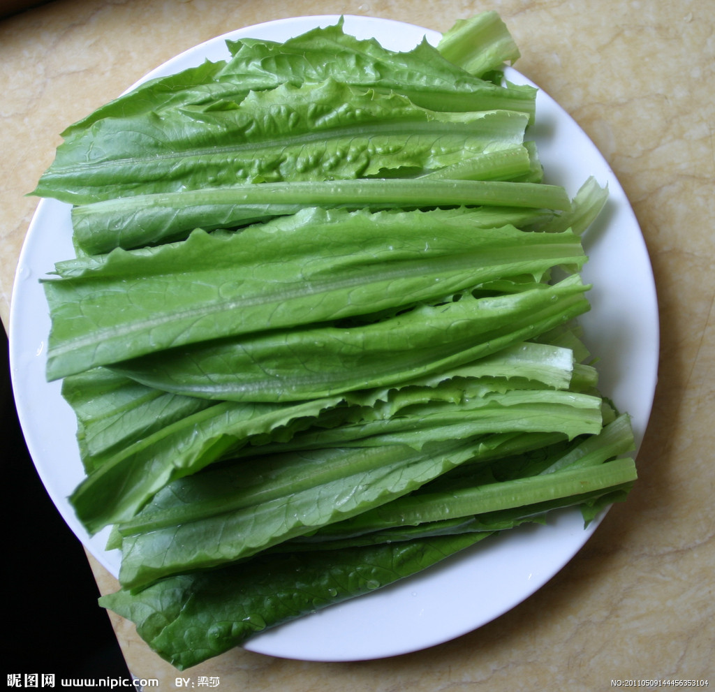 油麦菜摄影图_原物_食物原