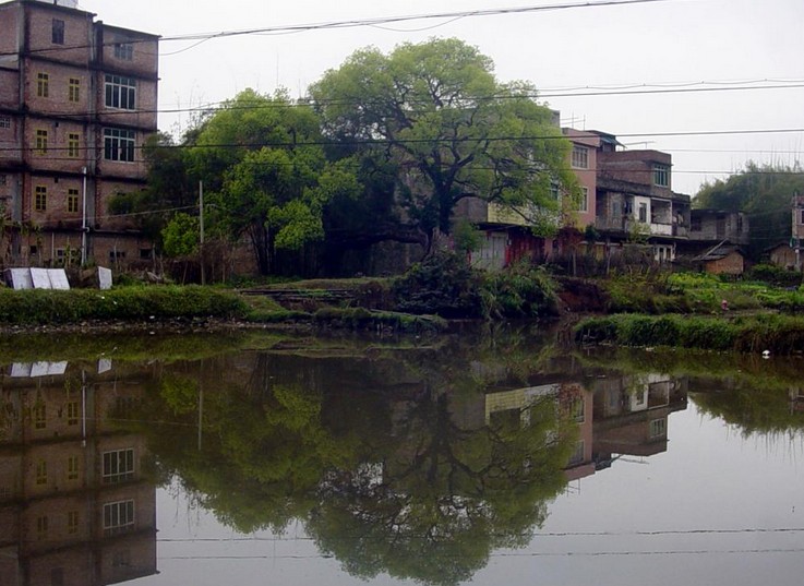 苍梧县