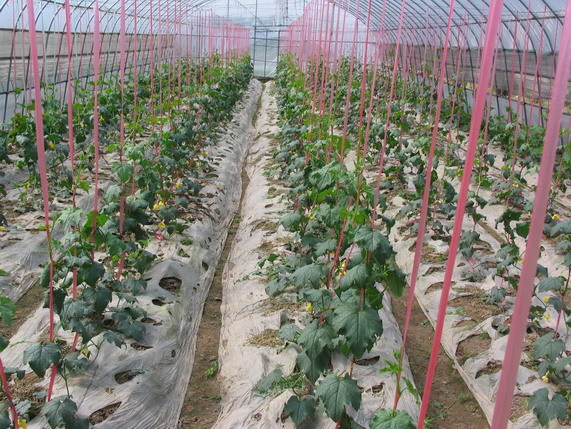 水土流失、土壤沙漠化、盐碱化、资源枯竭、气