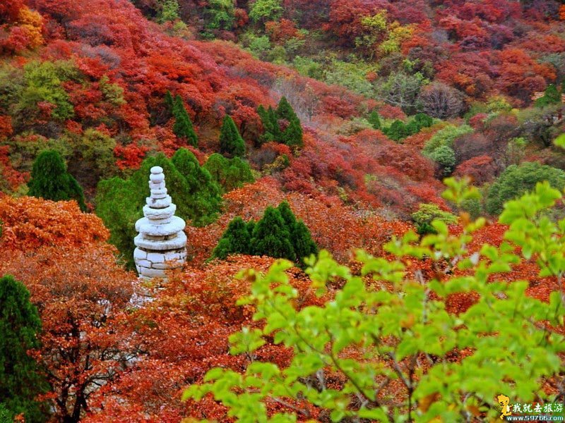 {三年级作文石门风景区}.