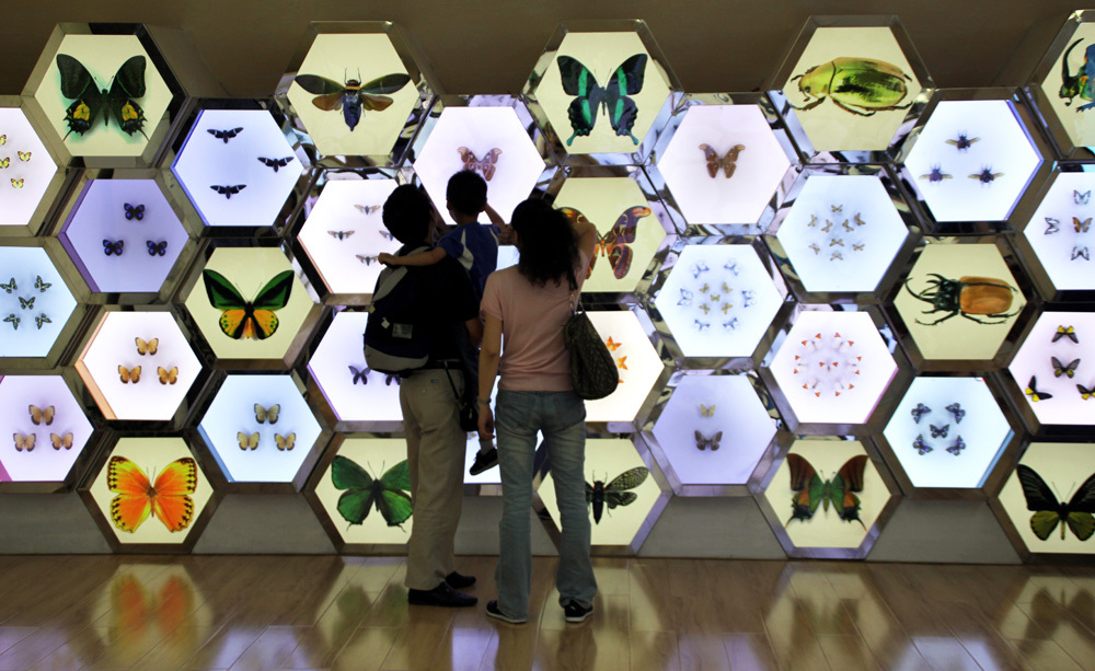 是我国首家现代化昆虫博物馆,展出标本数量居亚洲第一,博物馆收藏有