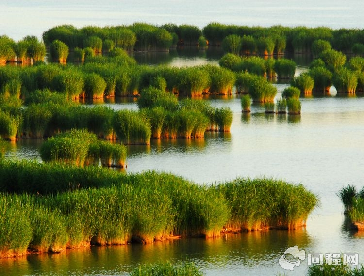 宁夏沙湖生态旅游区图片