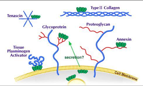 gdp组合_gdp什么时候组合的(2)