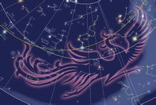 t01e7a93534239458e5.jpg