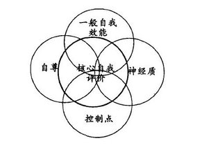 改进证据推理的联合防空作战效能评估模型