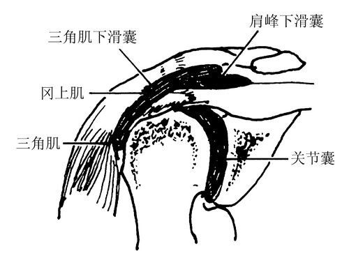 请输入验证码以便正常访问