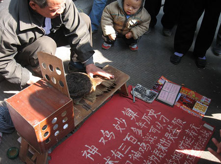 当日下午,许多人在江南西路观看"神鸡卦,只见一中年男子身边放