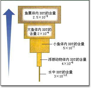 生物富集示意图图片