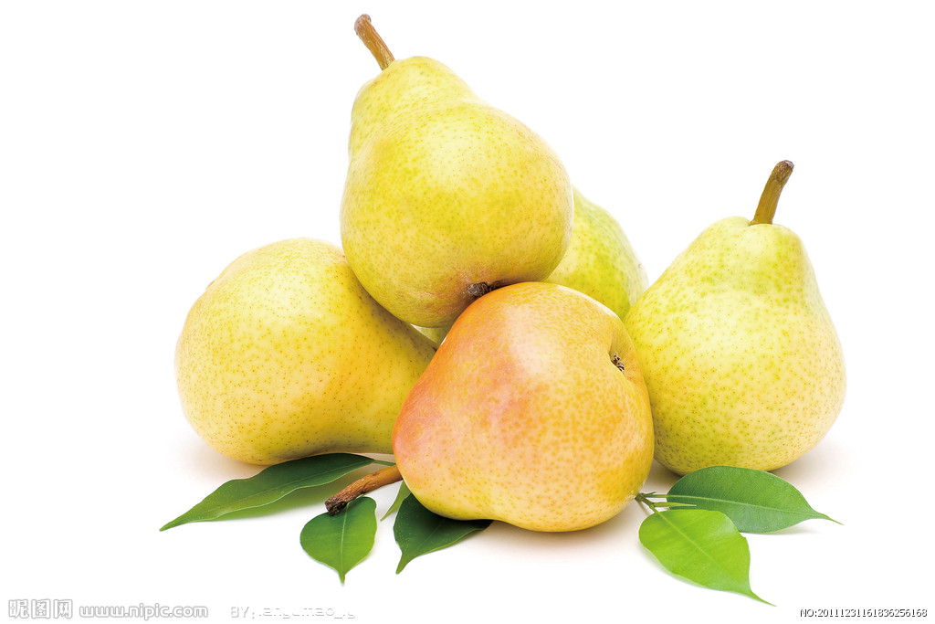 水果梨摄影图__水果_生物世